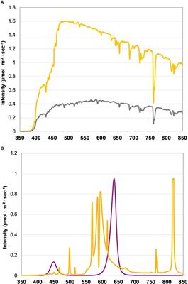 Application timing and duration of LED and HPS supplements differentially influence yield, nutrient bioaccumulation, and light use efficiency of greenhouse basil across seasons